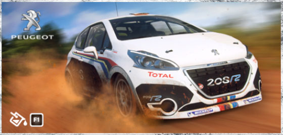 Peugeot 208 R2