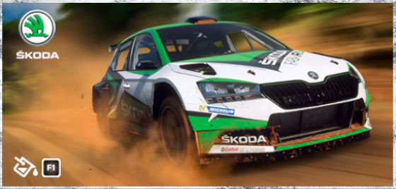 Skoda Fabia R5