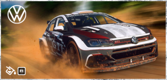 Volkswagen Polo GTI R5