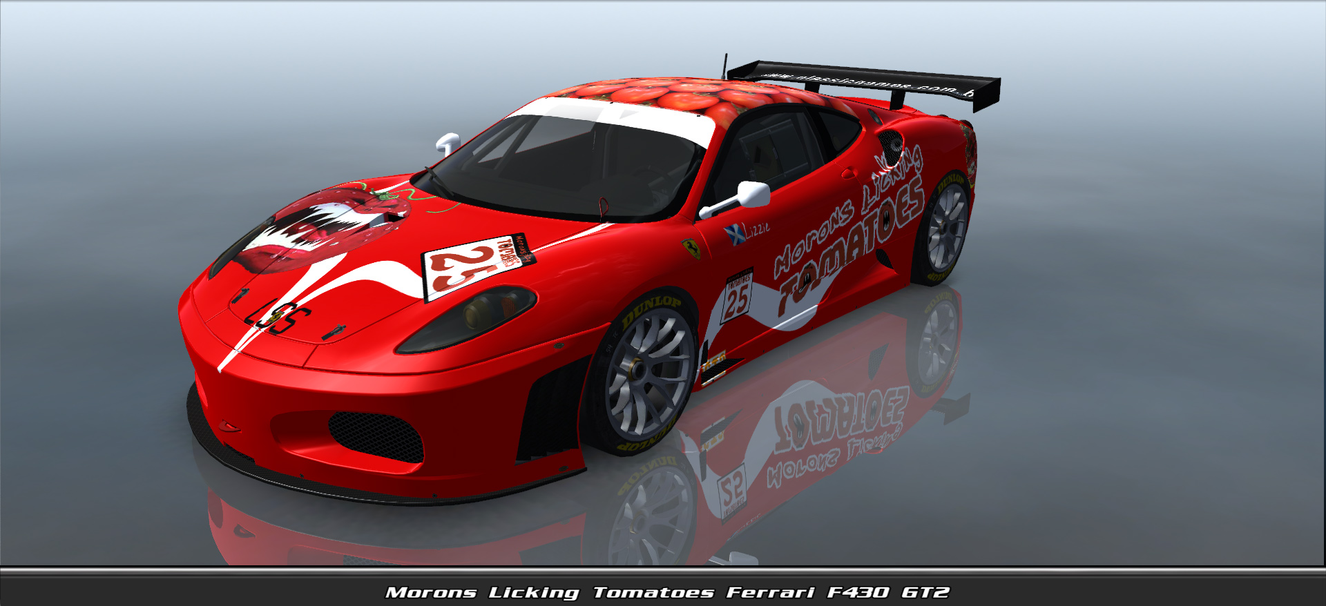 Morons Licking Tomatoes, Ferrari F430 Gt2 #11025, Driven By Lizard90
