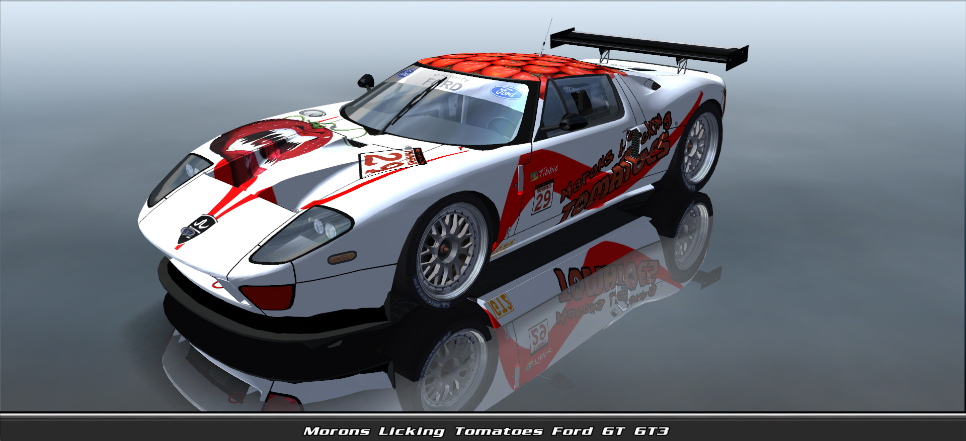 Morons Licking Tomatoes, Ford Gt Gt3 #11029, Driven By Juliano Flores