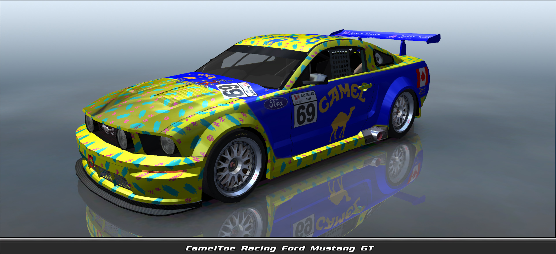 Cameltoe Racing, Ford Mustang Gt #11069, Driven By Jens Klempnauer
