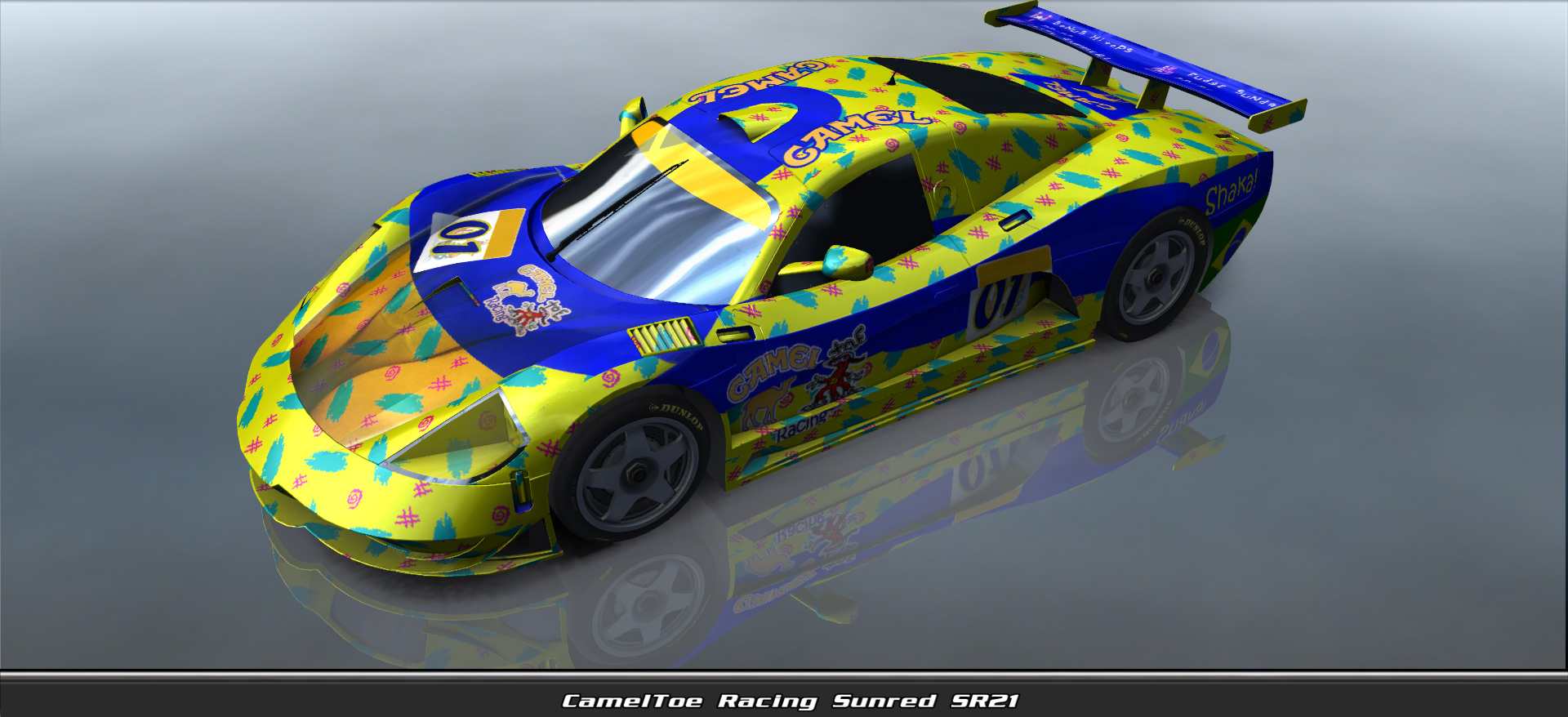 Cameltoe Racing, Sunred Sr21 #11001, Driven By Fernando Horta