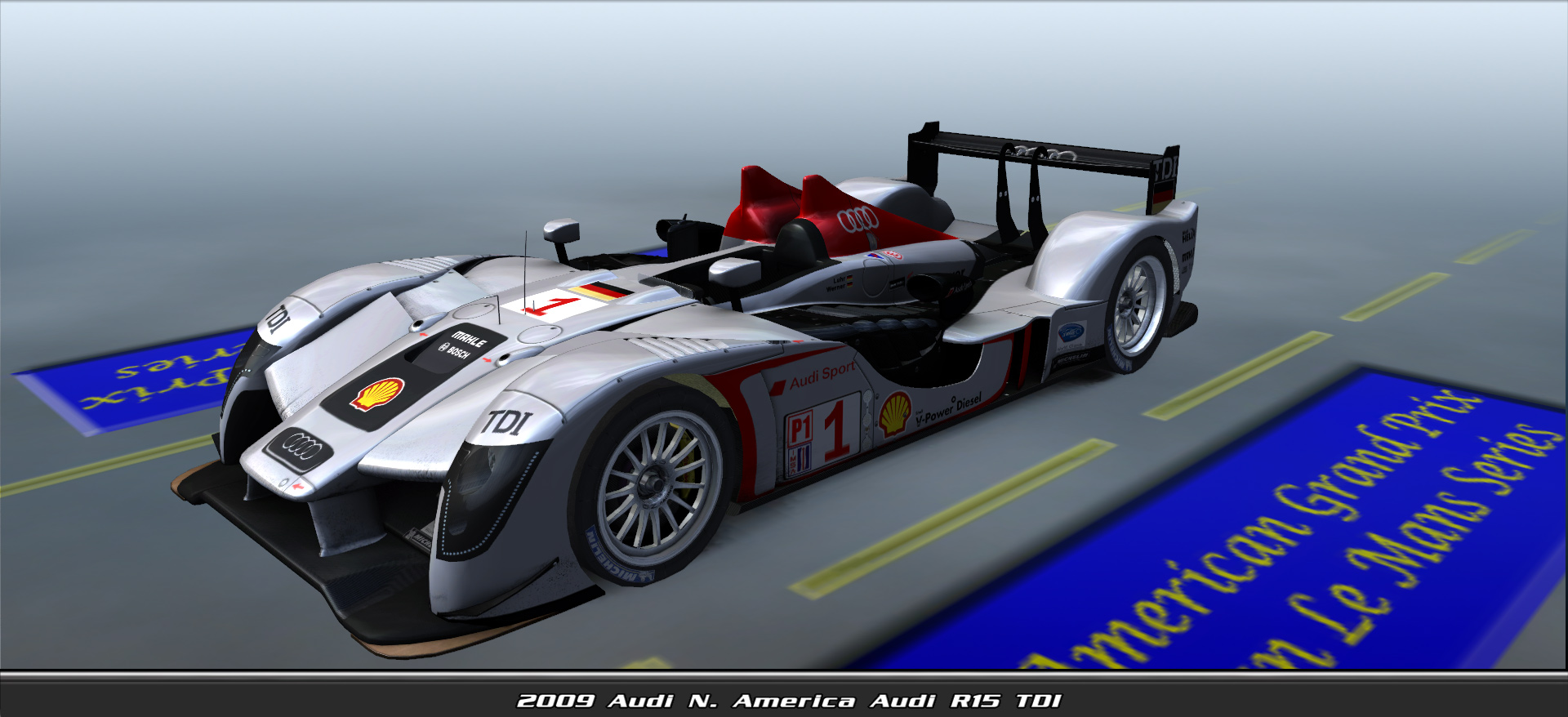 2009 Audi N. America, Audi R15 Tdi #9001, Driven By Fernando Horta